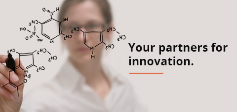 patent and trademark attorneys